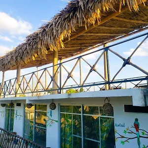  Aparthotel La Casa De Aves Mexico